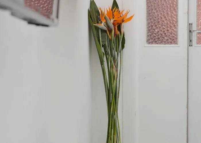 Trilogia Salentina X Ap Apartamento Gallipoli