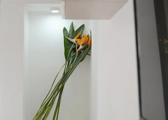 Trilogia Salentina X Ap *