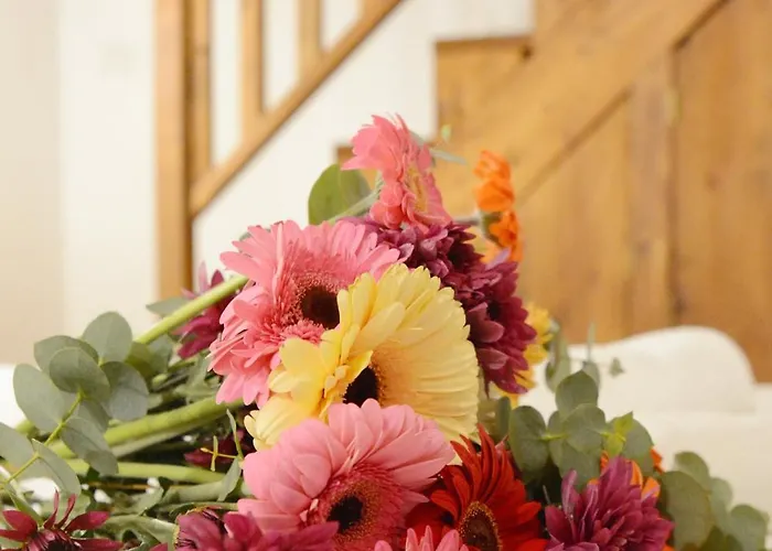 Trilogia Salentina X Ap Apartamento